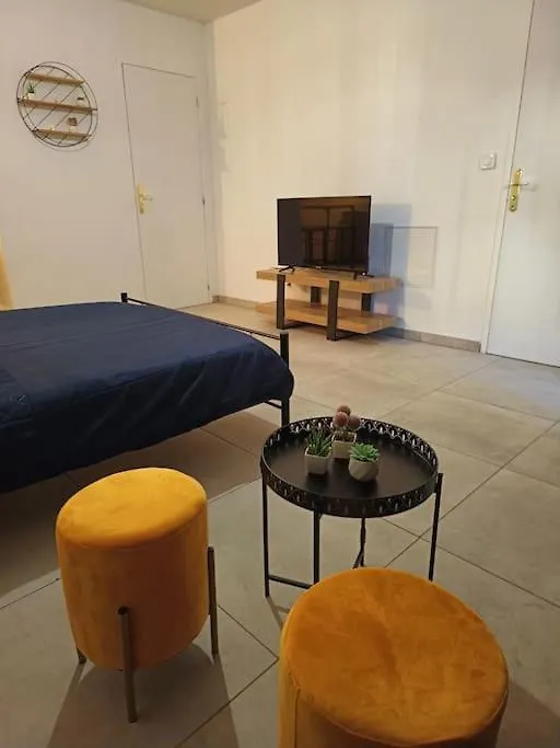 Appartement Studio Glamour Avec Espace Balneo Prive Dallet France