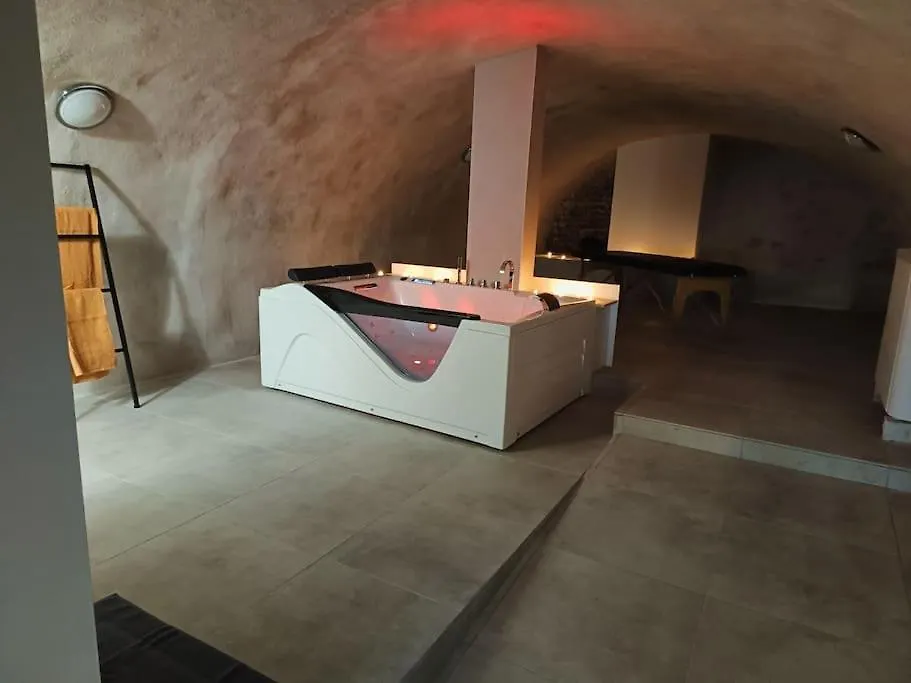 Studio Glamour Avec Espace Balneo Prive Apartment Dallet France